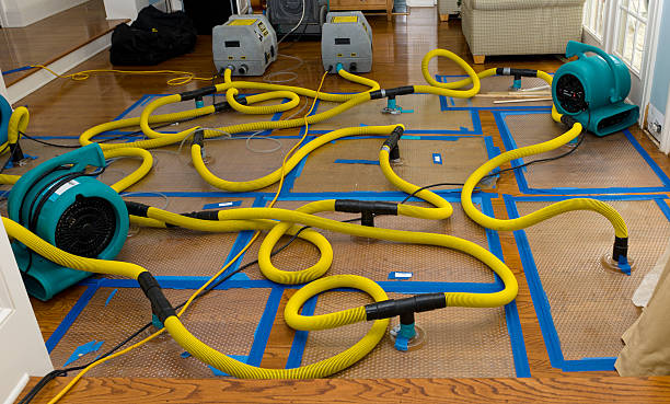 Professional Structural Drying And Dehumidification technician working in Quakertown, PA
